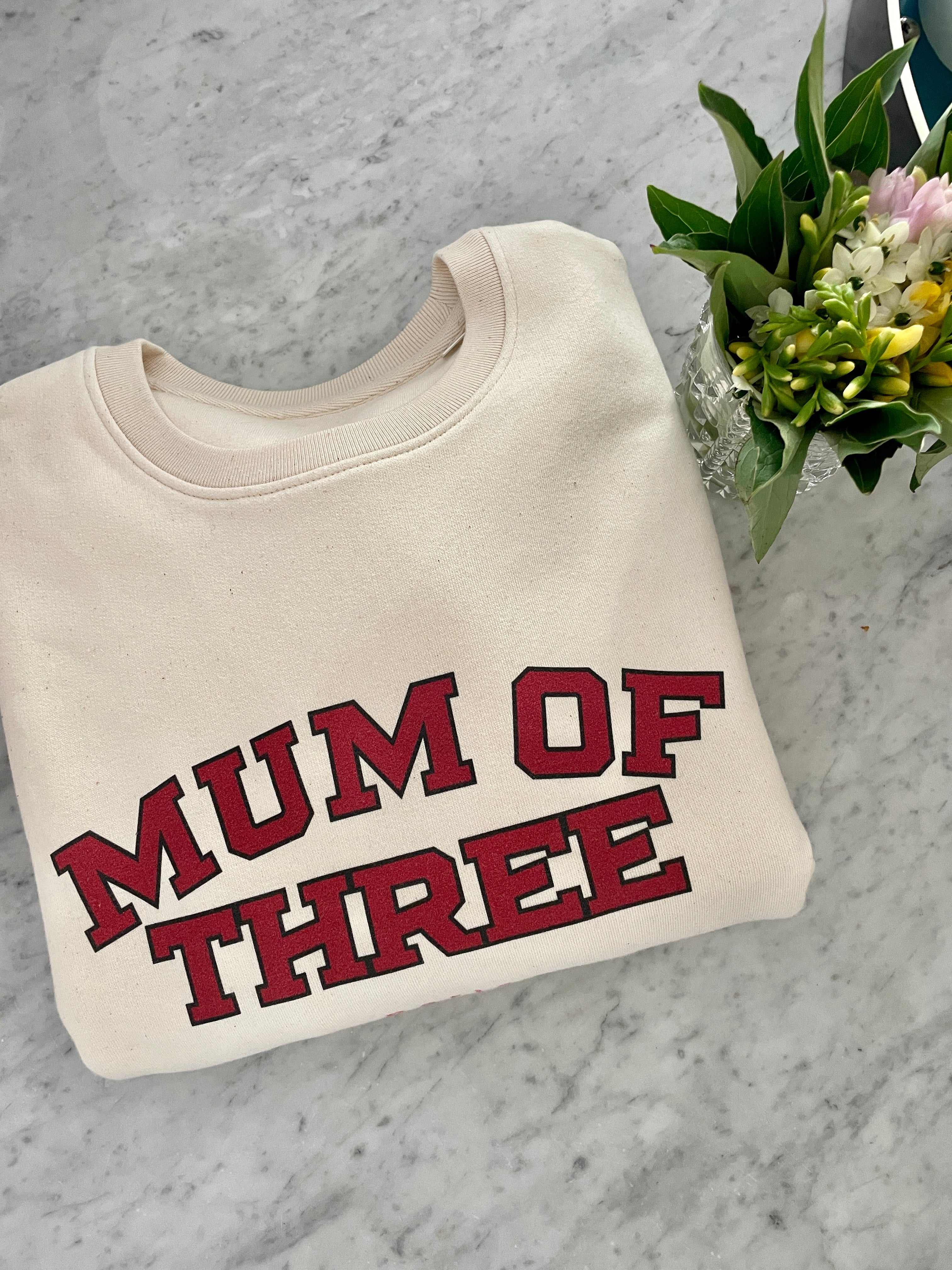 A UNIVERSITY MUM OF THREE Sweatshirt