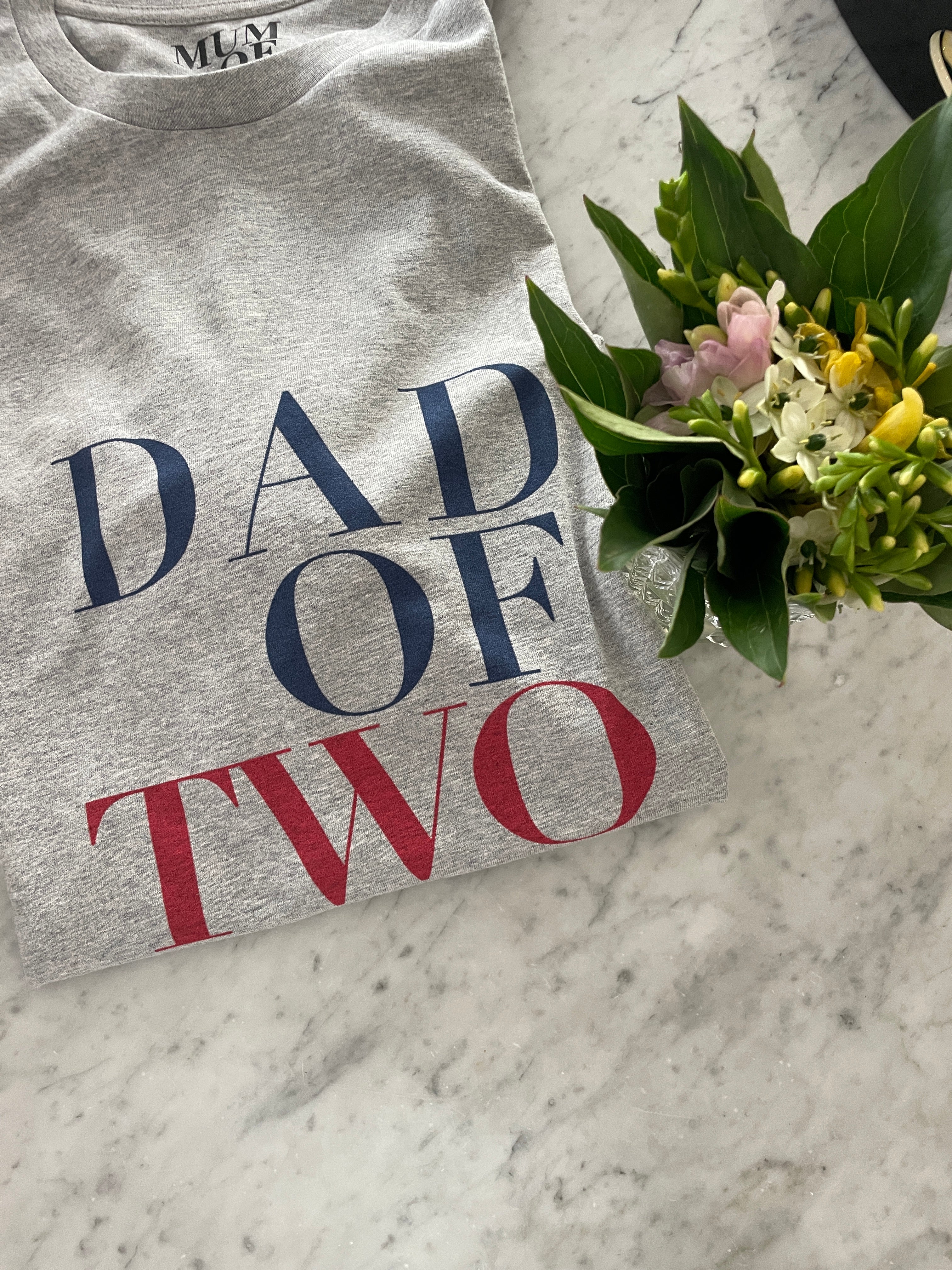 A T Shirt DAD OF TWO Heather Gray