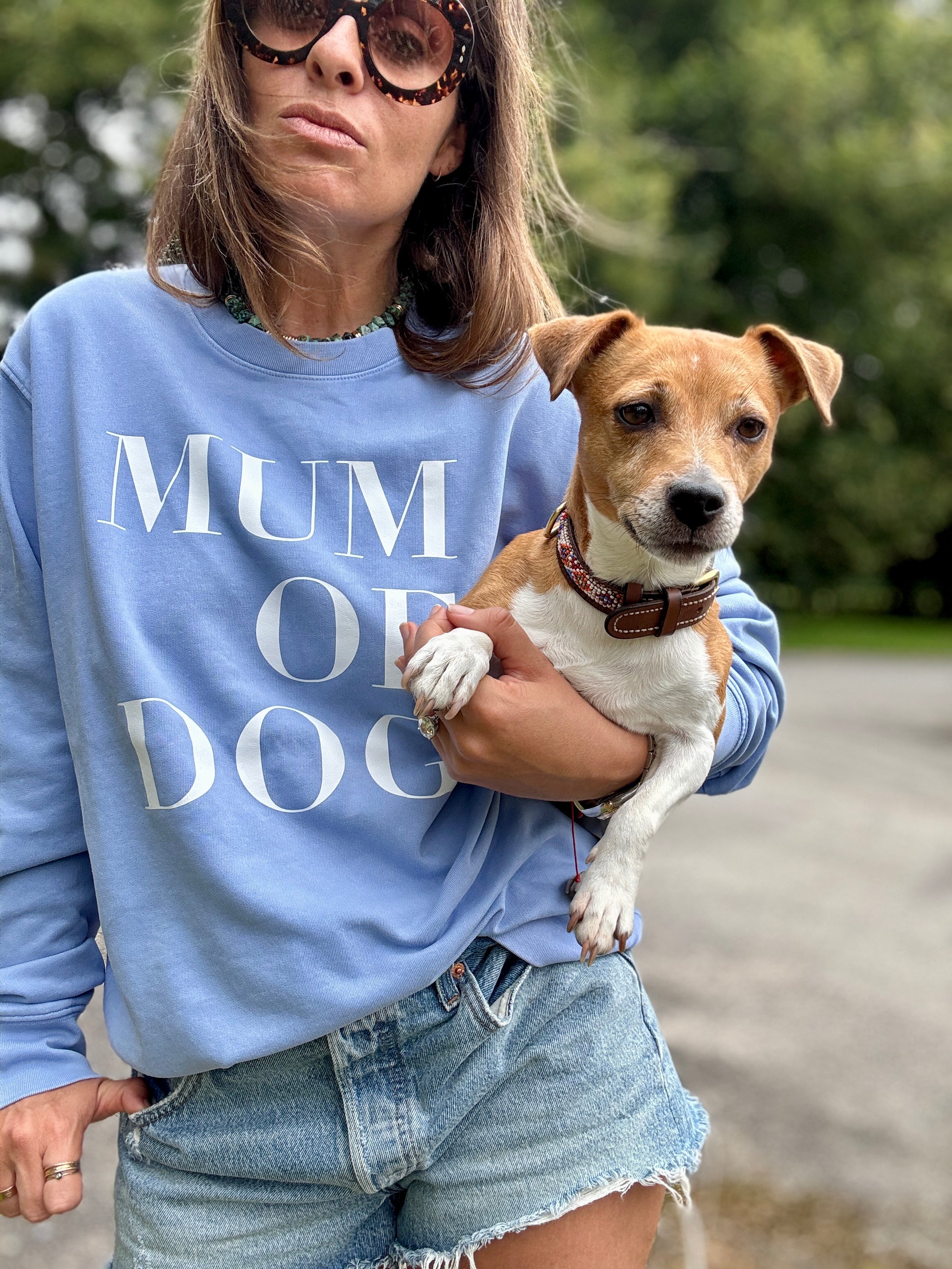 SWEAT-SHIRT VERONIKA X MUM OF DOG BLEU VINTAGE